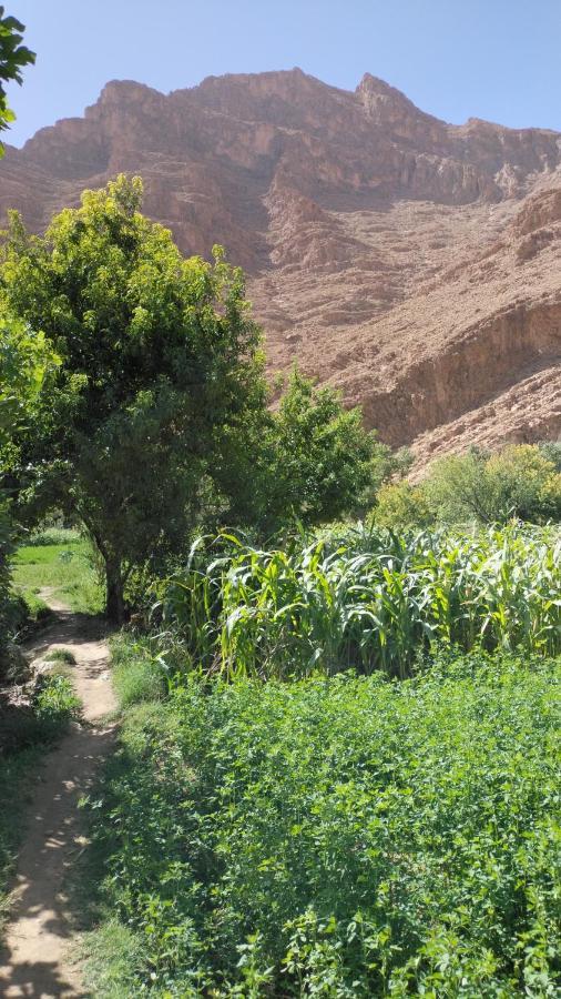 Riad Dar Ahlam Aït Baha Buitenkant foto