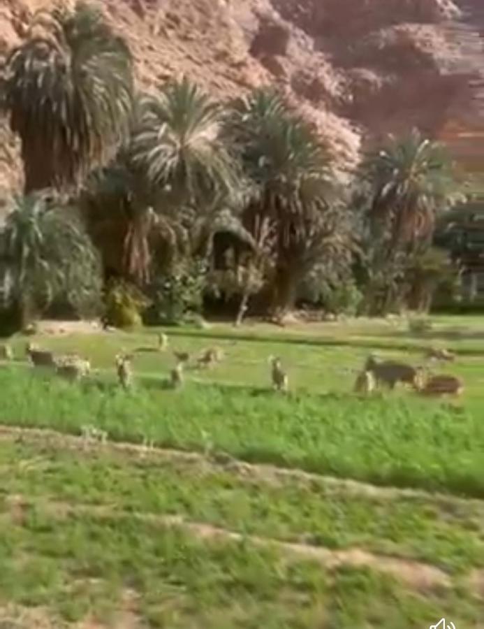 Riad Dar Ahlam Aït Baha Buitenkant foto